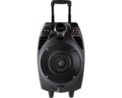 Sunstech MASSIVE-S10 50W Zwart luidspreker