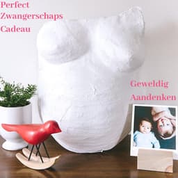 Gipsbuik XL Pakket – Met 3 Sjablonen en 12 Kleuren Verf – 5 Rollen Extra Groot en Sterk Gipsverband – Niet Toxisch- Baby Buik Zwanger — thumbnail 3