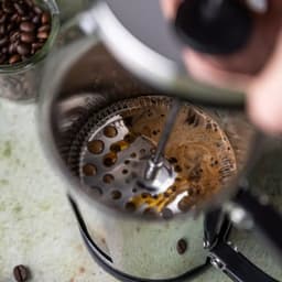 Klausberg KB7703 Piston Brewer 1L - Perfecte Koffie- en Theebereider — thumbnail 5