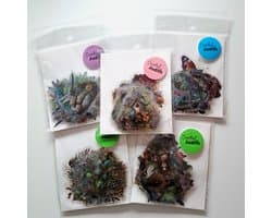 Transparante stickers bundel - 200 stickers - thema lente, libelle, bladeren, vlinders, elfjes - bullet journal stickers - scrapbook - laptop stickers - volwassenen en kinderen