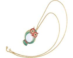 Hangend Vergrootglas 10x - Praktisch Leeshulpmiddel met Ketting voor Boeken Kranten en Documenten - Compact en Draagbaar