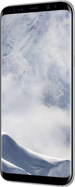 Samsung Galaxy S8 Zilver — thumbnail 4