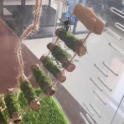 Spider Rope Bridge, een massief houten klimbrug, een accessoire voor springende spinnenbehuizing, handgemaakt, een spinsprongplatform, gebruikt als decoratief accessoire voor kleine — thumbnail 4