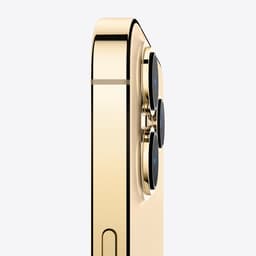 Apple iPhone 13 Pro Max - 256GB - Goud — thumbnail 4
