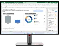 Lenovo ThinkVision P27h-30 - QHD Monitor - USB-C 100w - USB - HDMI - DP - RJ45