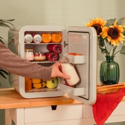 Equivera Mini Fridge for Drinks - Kleine Koelkast - Mini Koelkasten - Minibar - Mini Fridge - Mini Koelkast - Mini Koelkastje - Must have voor in Huis! — thumbnail 3