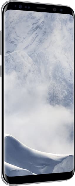 Samsung Galaxy S8 Zilver — thumbnail 6