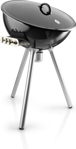 FireGlobe Barbecue Gas — thumbnail 2