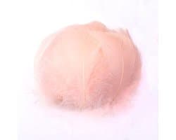 100 Kleurrijke Veren voor Creatieve Projecten, Natuurlijke Gansveren voor DIY Kunst, Maskers, Hoeden, Sieraden en Dromenvangers