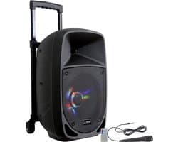 Draagbare Bluetooth Speaker met Ingebouwde LED Verlichting en Microfoon 300W