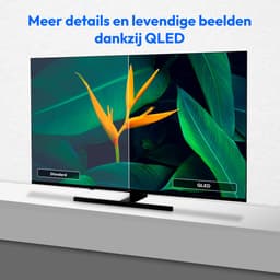 MEDION 108 cm (43") QLED TV (Google TV, 4K, Dolby Vision HDR, Netflix, Prime Video, Disney+, Dolby Atmos, DTS X, Smart TV, PVR, Bluetooth, MD 843700) — thumbnail 3