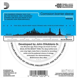 D'Addario EJ11 Bronze Westernsnaren (12-53) Light — thumbnail 2