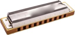 Diatonische Mondharmonica - Muziek Instrument - Muziek Maken - 10 Gaten 20 Tonen - 400 gram - Toonsoort C — thumbnail 4