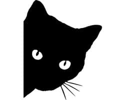 Gluur kat - peeking cat- auto raam sticker- Laptop - Auto accessories - Sticker skateboard -