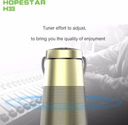 HOPESTAR H33  Goud draagbare draadloze Bluetooth-luidspreker FM-zender Powerbank — thumbnail 5