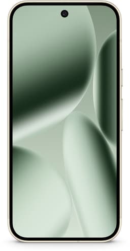 Google Pixel 10 Pro XL 5G - 16GB/256GB - Groen (Jade) — thumbnail 8