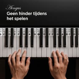 Siliconen Piano Stickers Afneembaar of Keyboard Stickers Herbruikbaar - Wit — thumbnail 5