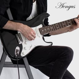 Áengus Black Tweed Gitaarkabel Instrumentkabel - 6.35mm mono jack plug haaks/haaks - 3 meter — thumbnail 5