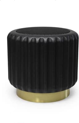 Dentelles Speaker — thumbnail 2