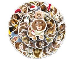 Winkrs | Honden stickers | Grappige Teckels | Hondjes, huisdieren, teckel, memes | 3/4cm - 50 stuks voor laptop, muur, koffer, etc.