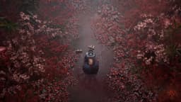 Silent Hill f - PS5 — thumbnail 3