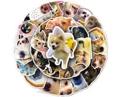 Grappige Honden stickers - 50 stuks - Meme dogs set voor laptop, tablet, smartphone, muur, agenda etc.