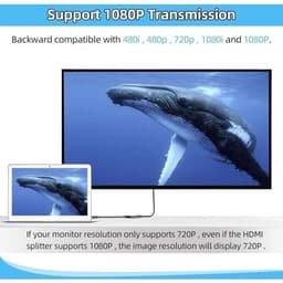 HDMI-splitterkabeladapter/converter voor dvd-spelers/HDTV's/lcd-monitoren en projectoren. — thumbnail 2