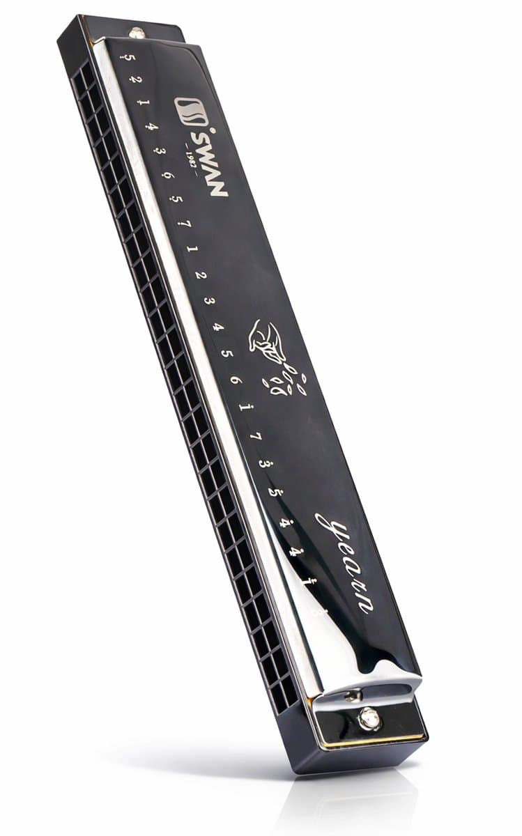 Diatonische harmonica 24 Tremolo - mondharmonica - C-majeur - 48 gaats — afbeelding 1