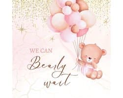 Bearly Wait: Teddy Bear Baby Shower Guest Book Girl + BONUS Gift Tracker Log and Keepsake Pages | Advice for Parents Sign-In | Table Sign Gift