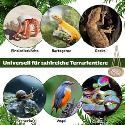 17 stuks magnetische springspinnen accessoires springspin voor verkenning — thumbnail 3