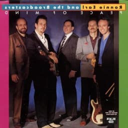 CD Opslagdoos - Muziekhoes - Muziek Archiveren - Dunne Opslag - 14 x 12.5 cm - Transparant — thumbnail 1