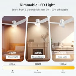 Plafondventilator met licht en afstandsbediening – 100 cm, 60 W, omkeerbare motor, 6 snelheden, voor alle seizoenen — thumbnail 5