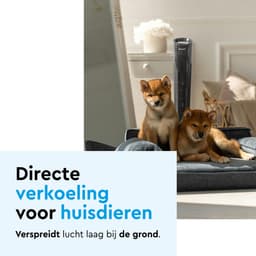 BRASQ Torenventilator F500 – 80 cm Hoog – Zwart – Stil – Met Afstandsbediening – Timer & Slaapmodus – Staande Ventilator – 50W – Voor Slaapkamer & Kantoor — thumbnail 2