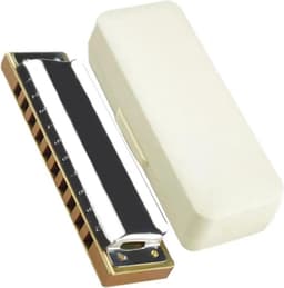 Diatonische Mondharmonica - Muziek Instrument - Muziek Maken - 10 Gaten 20 Tonen - 400 gram - Toonsoort C — thumbnail 1