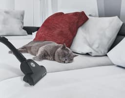 Krachtige Stofzuiger voor Dierenharen - Compact en Handig met 700W Zuigkracht — thumbnail 3
