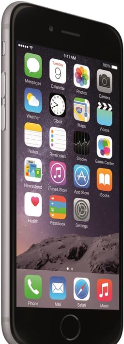 Apple iPhone 6 11,9 cm (4.7'') 1 GB 64 GB Single SIM Grijs — thumbnail 2