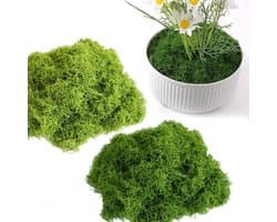 Kunstmos voor Creatieve Projecten, IJslands Mos Decoratie, Behoud van Mos voor Wanddecoratie en Aquaria (Lichtgroen 50g + Donkergroen 50g)