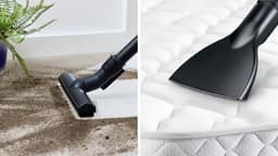 Bosch Serie 4 Stofzuiger Wit BGL38WH3H + Stofzuigerzakken PowerProtect Type G ALL BBZ41FGALL — thumbnail 3