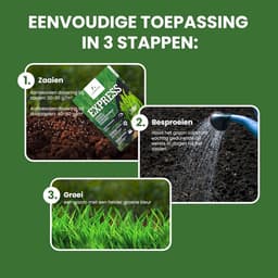 Express Graszaad voor Snelle Groei - 300 m² - Slijtvast Graszaad voor Zon en Halfschaduw - Italiaans Graszaad voor Tuin — thumbnail 3