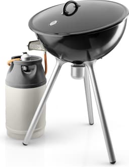 FireGlobe Barbecue Gas — thumbnail 4