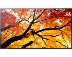 Sharp MultiSync M862 Digitale signage flatscreen 2,18 m (86") LCD 550 cd/m² 4K Ultra HD Zwart 24/7