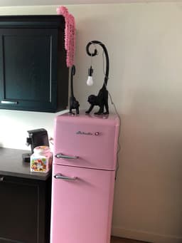 Helvetia Retro Koelvriescombinatie HRDPER206EP1 - Rétro Rose - 144 cm Hoog - 4ster Vriezer - Vintage - 206 Liter — thumbnail 5