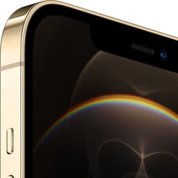 Apple iPhone 12 Pro Max - 256GB - Goud — thumbnail 2