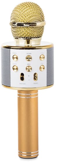 Draadloze Karaoke Microfoon met Bluetooth en Echo Effect - Speaker - USB - met Opbergcase - Goud — thumbnail 4