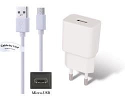 OneOne 2A lader + 0,50m standaard USB C kabel. Universele oplader adapter past op Boox (ONYX) eReader Poke 5, Galileo, Kon-Tiki 3, Tab Ultra, Leaf, Leaf 2