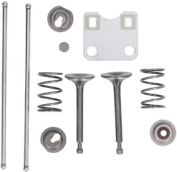 Beschermkappen voor de kleppen, veersets en accessoires voor de Geschikt GX160 en GX200 grasmaaiers van 5,5 pk en 6,5 pk. — thumbnail 1