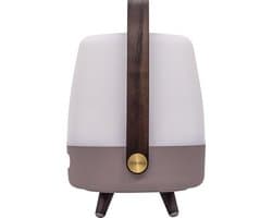 Kooduu Lite-up Play Mini JBL Earth Tafellamp - Bluetooth speaker - Led Lamp - JBL speaker