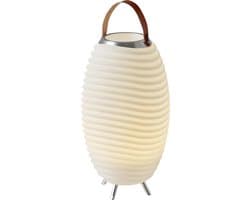 Kooduu Synergy 50S - Bluetooth Speaker - Wijnkoeler - LED lamp - met ingebouwde accu. 100% draadloos, muziek streamen