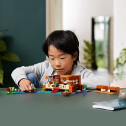 LEGO Minecraft Het kikkerhuis - 21256 — thumbnail 4