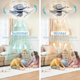 WentinkMo Led - Platfondlamp - Afstandsbediening voor Plafondventilator - Moderne ventilator — thumbnail 4